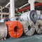 Hot Rolled Stainless Steel Coil Tipis JIS AISI SS 304 304L Lebar 1000 / 2000mm Food Grade